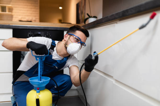 Trusted Mount Hermon, CA Pest Control Experts