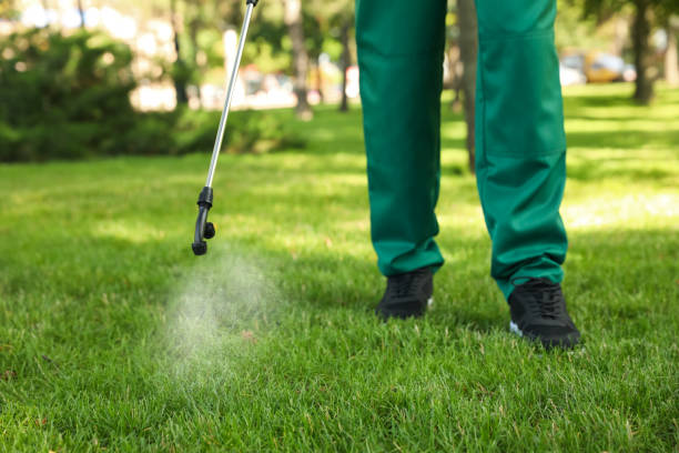 Best Commercial Pest Control Services  in Mount Hermon, CA