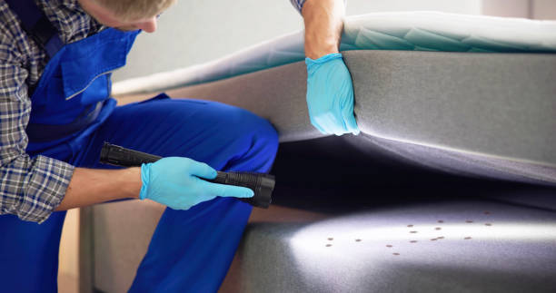 Best Rat Extermination Near Me  in Mount Hermon, CA