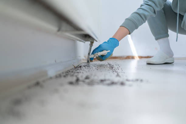 Best Wildlife Control Services  in Mount Hermon, CA
