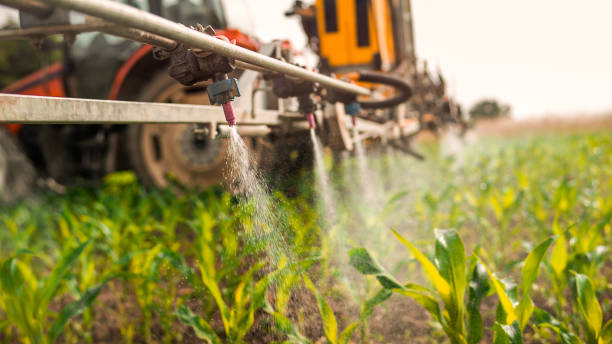 Pest Control Cost in Mount Hermon, CA