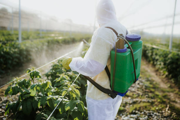 Best Termite Control Services  in Mount Hermon, CA
